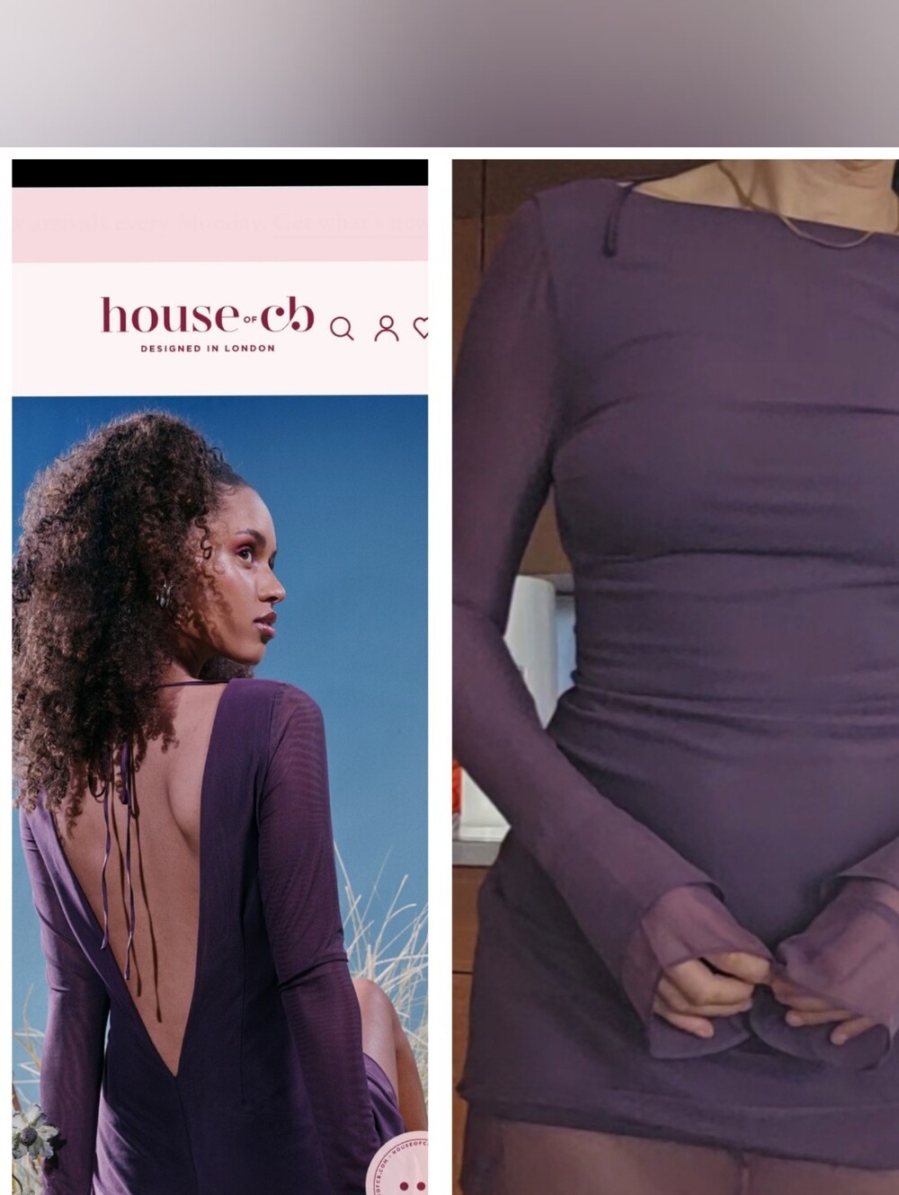 Nwt House Of CB MR Smoky Violet Petal Sheer Backless Mini Dress Xs